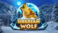 Siberian Wolf (Военный волк)