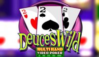 Multihand Deuces Wild (Multihand Deuces Wild)