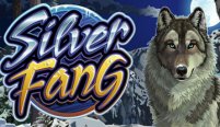 Silver Fang (Серебряный клык)