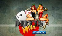 Deuces Wild Double Up (Дикие двойки с удвоением)
