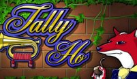 Tally Ho (Талли Хо)