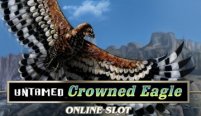Untamed Crowned Eagle (Неоповещенный Коронованный Орел)