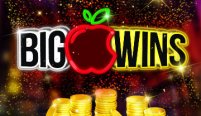 Big Apple Wins (Победители)