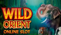 Wild Orient (Дикий Восток)