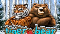 Tiger vs Bear (Тигр против медведя)