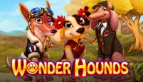 Wonder Hounds (Чудесные гончие)