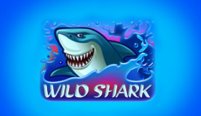Wild Shark (Дикая акула)