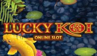 Lucky Koi (Счастливый карп)