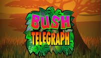 Bush Telegraph (Буш-телеграф)