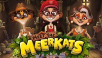 Meet the Meerkats (Встреча с Мееркатами)