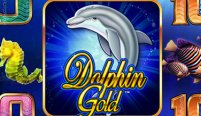 Dolphin Gold